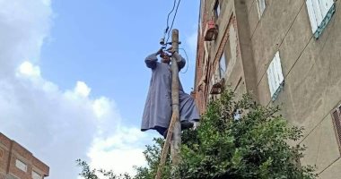 صور.. إعادة 3 أعمدة إنارة وأشجار بالقناطر الخيرية بعد سقوطها بسبب الطقس السيئ