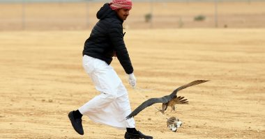 هواة الصقور يشاركون فى مهرجان الملك عبد العزيز بالرياض