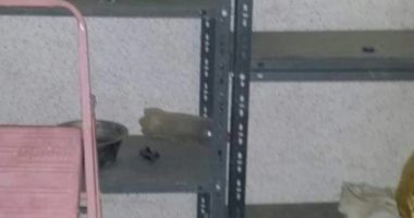 أهالى قرية الكولا بسوهاج يطالبون توفير أطباء وأدوية بالوحدة الصحية