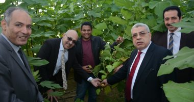 صور.. لأول مرة بجامعة طنطا إنتاج التين الإسبانى الأبيض بنظام الزراعة المكثفة