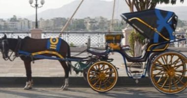 رئيس مدينة الأقصر: أزمة عربات الحنطور والباعة الجائلين فى طريقها للحل بالترخيص 