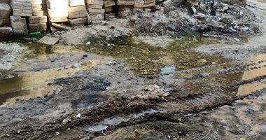 شكوى من انتشار مياه الصرف الصحى بشارع محسن أبو طاحونة بالمرج