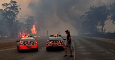 فيديو مؤثر لهروب جماعى للكنغر جراء الحرائق فى الغابات الأسترالية