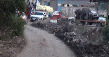 قارئ يناشد المسؤولين رصف طريق عزبة السرو- شبرا بلولة مركز قطور غربية