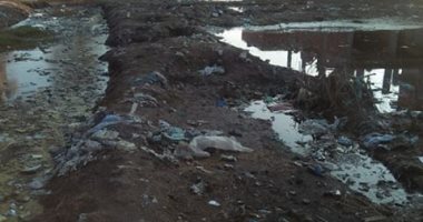 أهالى قرية بكفر الشيخ يطالبون بمدرسة وصرف صحى