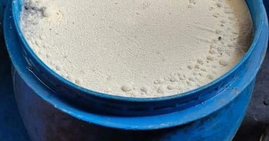 وكيل صحة الشرقية يتفقد منشآت غذائية ويتحفظ على 34 طن زيتون وملح لسوء التخزين