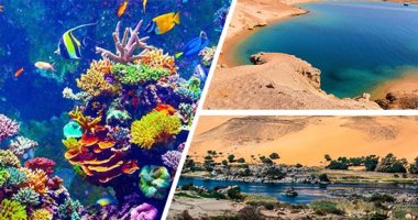 خطة لتطوير المحميات الطبيعية والوصول بها إلى مستويات عالمية.. تحسين البنية التحتية والخدمات المقدمة للزوار فى 13 مكانا.. إنشاء متحف مفتوح وآخر مغلق للتغيرات المناخية والحفريات بوادى الحيتان بالفيوم 