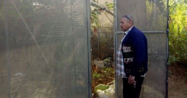 صور.. تجهيز صوب زراعية لإنتاج شتلات أشجار الزينة بالوادى الجديد
