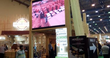 طلاب التعليم الصناعي بسوهاج يشاركون بمعرض القاهرة الدولي للأخشاب.. صور