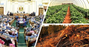 قانون للزراعة العضوية أمام البرلمان يهدف لتوفير غذاء آمن للمواطنين وتقليل الإصابة بأمراض الكبد والسرطان.. والاستغلال الأمثل للموارد الطبيعية وإعادة تدوير المخلفات النباتية والحيوانية واستخدامها كمخصبات للتربة