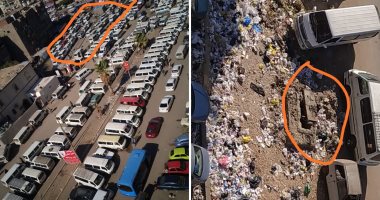 قمامة وكلاب ضالة.. شكوى سكان الحى العاشر بمدينة نصر