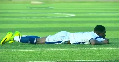 كله ينزل عالأرض! خلية نحل تهاجم يانج أفريكانز في كأس تنزانيا.. فيديو