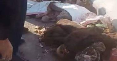 صور.. تفاصيل العثور على جثتين داخل شقة منذ 7 سنوات فى الإسكندرية