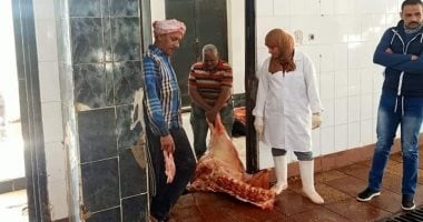 صور.. بيطرى الوادى الجديد يعدم عجلا مريضا ويتحفظ على إثنين آخرين بالخارجة