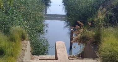 قارئ يشكو من صرف صحى يعرض صحة المواطنين للخطر بجزيرة الأكراد بأسيوط