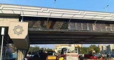 صور.. "زراعة الكبارى" فكرة تنفذ لأول مرة فى مصر بمنطقة مصر الجديدة