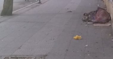 "احنا معاك".. رجل مشرد ينام فى العراء بشارع التحرير بالدقى