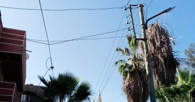 أسلاك كهرباء عارية.. شكوى أهل عزبة المهدى محافظة الدقهلية