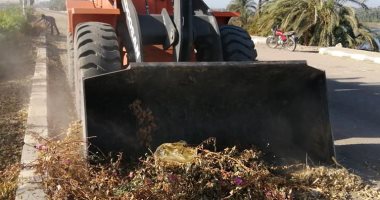 حملات لرفع المخلفات بمداخل القرى وتجميل قرى الطود لخدمة الأهالى.. صور