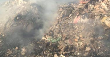 بعد ظهور عدة أوبئة في العالم.. 4 مراحل تحمي العالم من جائحة جديدة