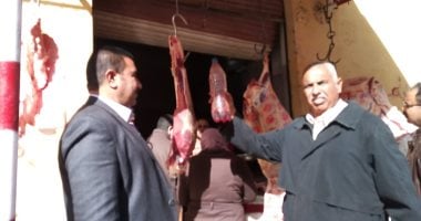 ضبط دواجن غير صالحة للاستهلاك الآدمى فى حملة تموينية بالخانكة