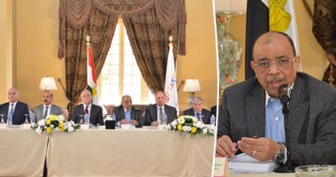 وزير التنمية المحلية: 4.2 مليار جنيه استثمارات المرحلة الأولى لـ"حياة كريمة".. شعراوى: متابعة أسبوعية لتنفيذ المشروعات بالقرى الأكثر فقرًا.. ويؤكد: لا نملك رفاهية الوقت وهدفنا الأول خدمة المواطن البسيط ..صور
