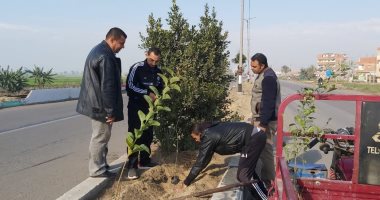 صور .. الزقازيق تتجمل استعداد لاحتفالات أعياد رأس السنة