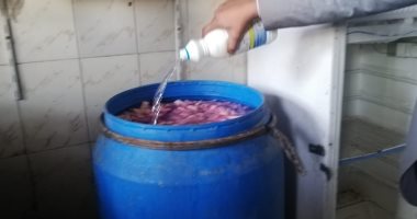 إعدام 200 كيلو مواد غذائية غير صالحة خلال حملة على المطاعم بأسوان
