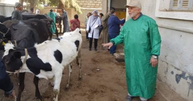 صور.. الزراعة تنظم قافلة بيطرية مجانية للتلقيح الصناعى بالمنيا