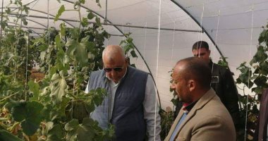 صور .. محافظ الوادى الجديد يوجه بتعميم مشروع الصوب الزراعية المميزة على مستوى القرى 