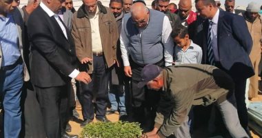محافظ الوادى الجديد يشهد باكورة انتاج مزرعة سمكية بقرية الموشية.. صور 