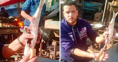انخفاض أسعار الكافيار لكثرة المعروض والكيلو يبدأ من 250 إلى 500 جنيه