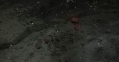 قارئ يشكو من سوء حالة الأسفلت بقرية أبو شنب فى كفر الشيخ