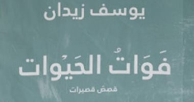 فعاليات تستحق المتابعة.. مناقشة "فوات الحيوات" لـ يوسف زيدان فى "ديوان"