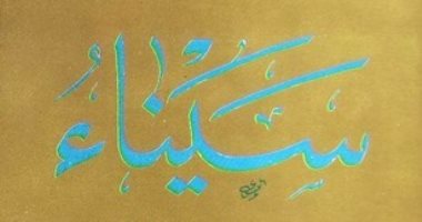 هكذا تحدث جمال حمدان.. كتاب "سيناء" يؤكد: خط دفاع مصر الأخير