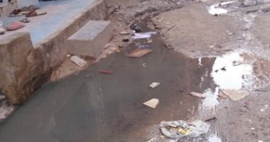 قارئة تشكو من مستنقعات وبرك مياه الصرف الصحى فى العوايد بالإسكندرية