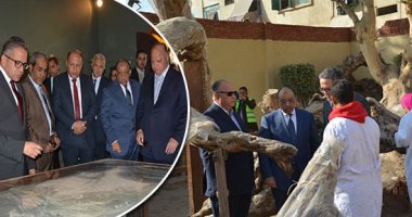 مسار العائلة المقدسة يستقبل الزوار  يونيو المقبل.. التنمية المحلية توجه بسرعة إنهاء أعمال التطوير فى محافظات المسار.. وتؤكد: 78 مليون جنيه لاستكمال جاهزية الأماكن.. نخيل واستراحات ولوحات إرشادية أبرز الأعمال