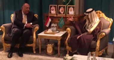 لقاء بين سامح شكرى وفيصل بن فرحان بالرياض لبحث التعاون المشترك