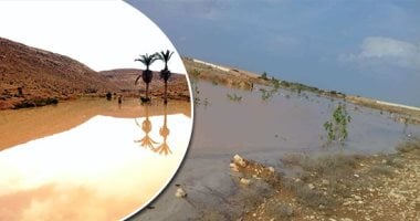 صور.. أمطار الخير.. بناء السدود وحفر الآبار يحصد الأمطار بمطروح لصالح الزراعة.. ساهمت فى استصلاح الوديان وتوطين البدو والقضاء على البطالة.. التين والزيتون والبطيخ والقمح والشعير أبرز المحاصيل المنتجة