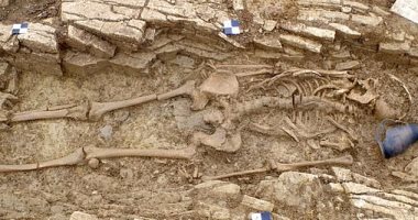 بريطانيون يكتشفون 50 هيكلا عظميا تعود لعام 43 ميلاديا خلال بناء مدرسة.. صور