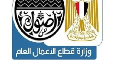 شركتا التأمين التابعتين لوزارة قطاع الأعمال تحافظان على تصنيف "++B" 