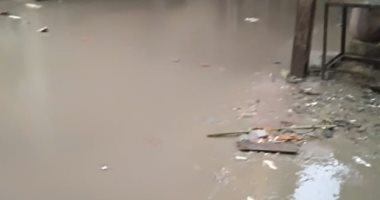 شكوى من غرق شارع بقرية جماجمون بكفر الشيخ بمياه الصرف الصحى