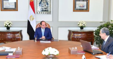 السيسى يوجه بالمضي قدما فى تنفيذ مشروعات الربط الكهربائي مع دول الجوار