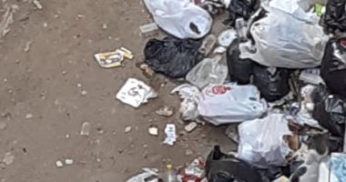 شكوى من انتشار القمامة بمنطقة عزبة النخل الغربية
