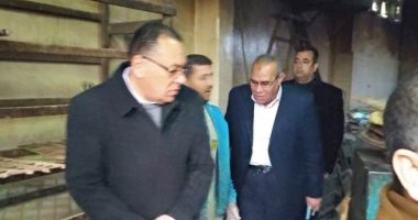 محافظ الشرقية خلال جولته فى البلاشون يكلف برفع القمامة وصيانة أعمدة الإنارة