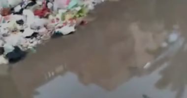 شكوى من انتشار القمامة والأوبئة بمنطقة النخيل بحى العجمى بالإسكندرية