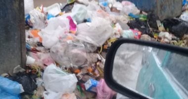 "سيبها علينا".. شكوى من استمرار انتشار القمامة فى قرية النخيل بالعجمى 