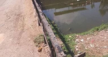 سيبها علينا.. شكوى من تهالك كوبرى قرية كفر الحطبة بالدقهلية