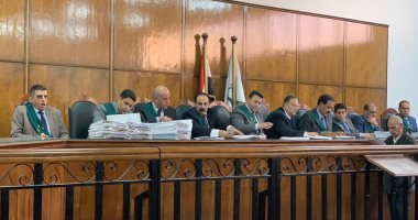 الحكم فى دعوى تعديل قانون محاكمة الطفل 14 مارس المقبل