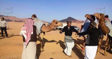 عروض منوعة للجمال ضمن فعاليات مهرجان سباق الهجن بشرم الشيخ
